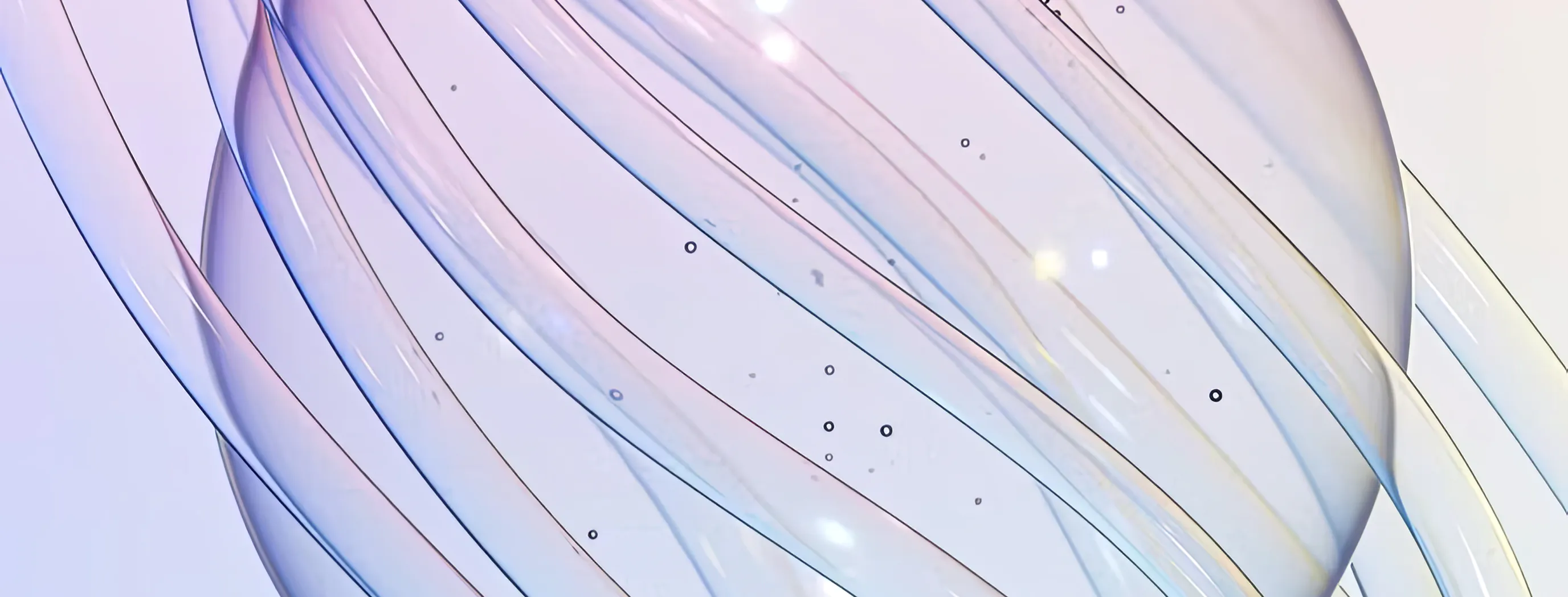 Enterprise Software – Global SaaS Provider